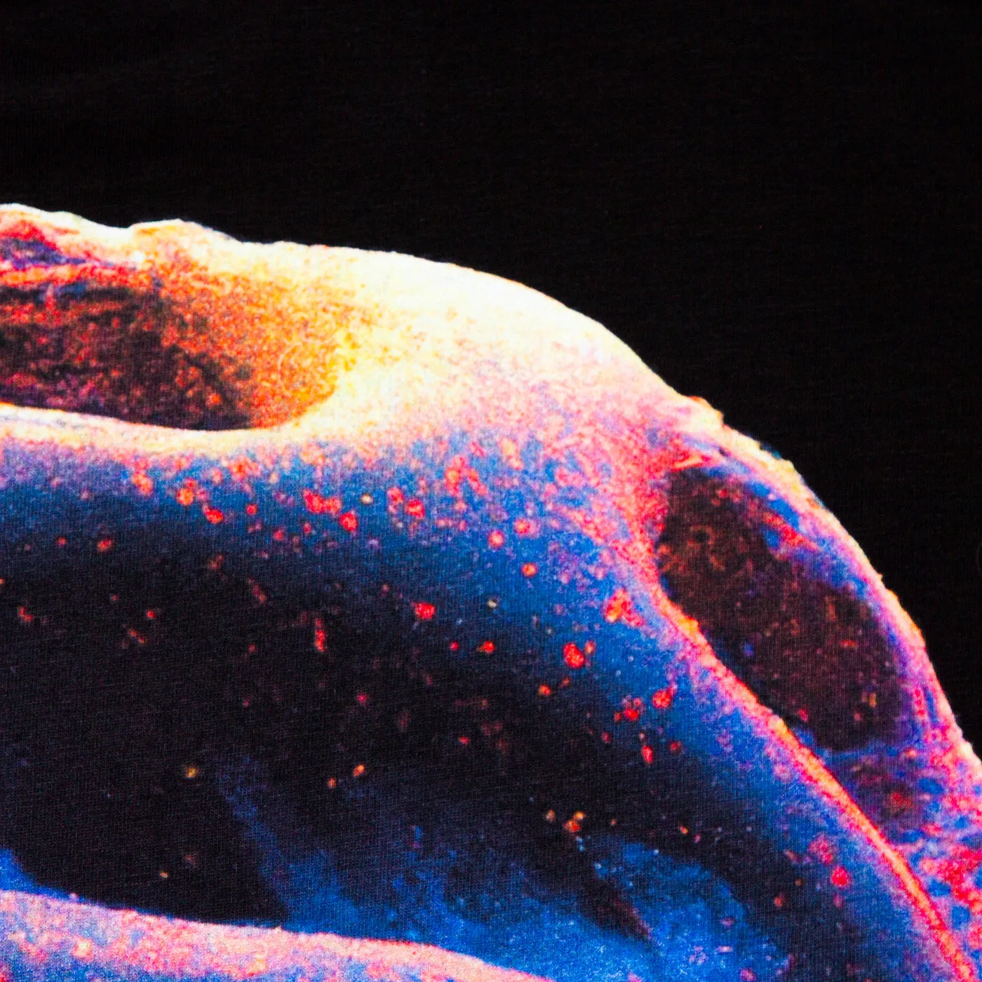 015 Disco Psychedelia Back Print - Tshirt - Black