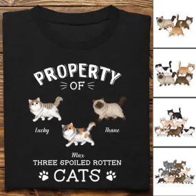 Cat Lover - The Spoiled Rotten Cats - Personalized Unisex T-Shirt