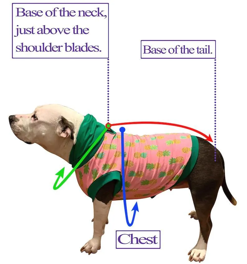 Orange Taco Pawty- PAWJama with Green Neck & Trim/Sleeves